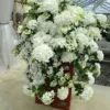 kaskades hortenzija cascade hydrangea fairytrail white