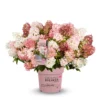 skaraina hortenzija hydrangea paniculata groundbreaker blush